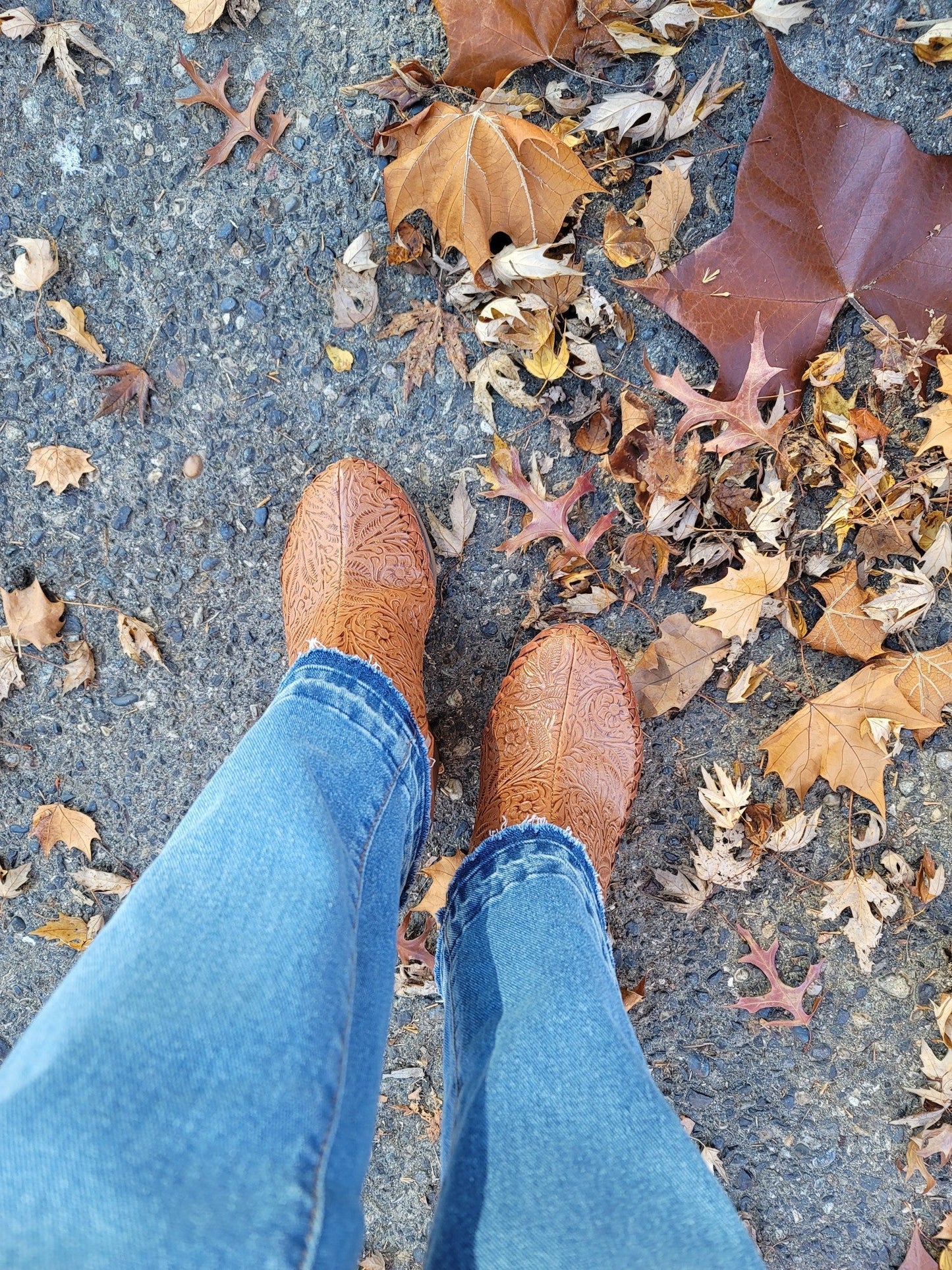 Sunshine ankle boots